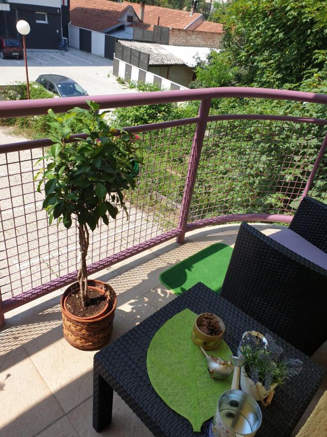 Lux Apartman Čačak Eksteriør billede